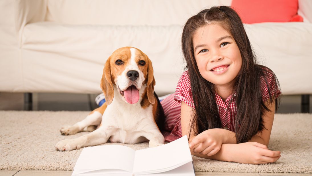 ©Pixel-Shot/Adobe Stock